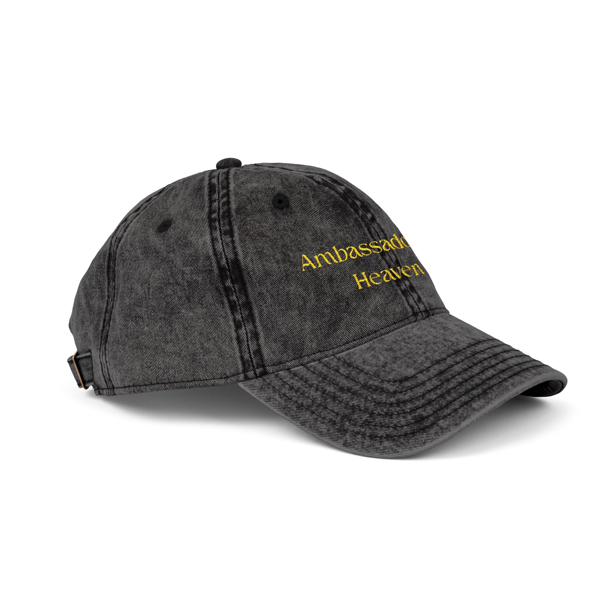 Ambassador of Heaven Vintage Cap